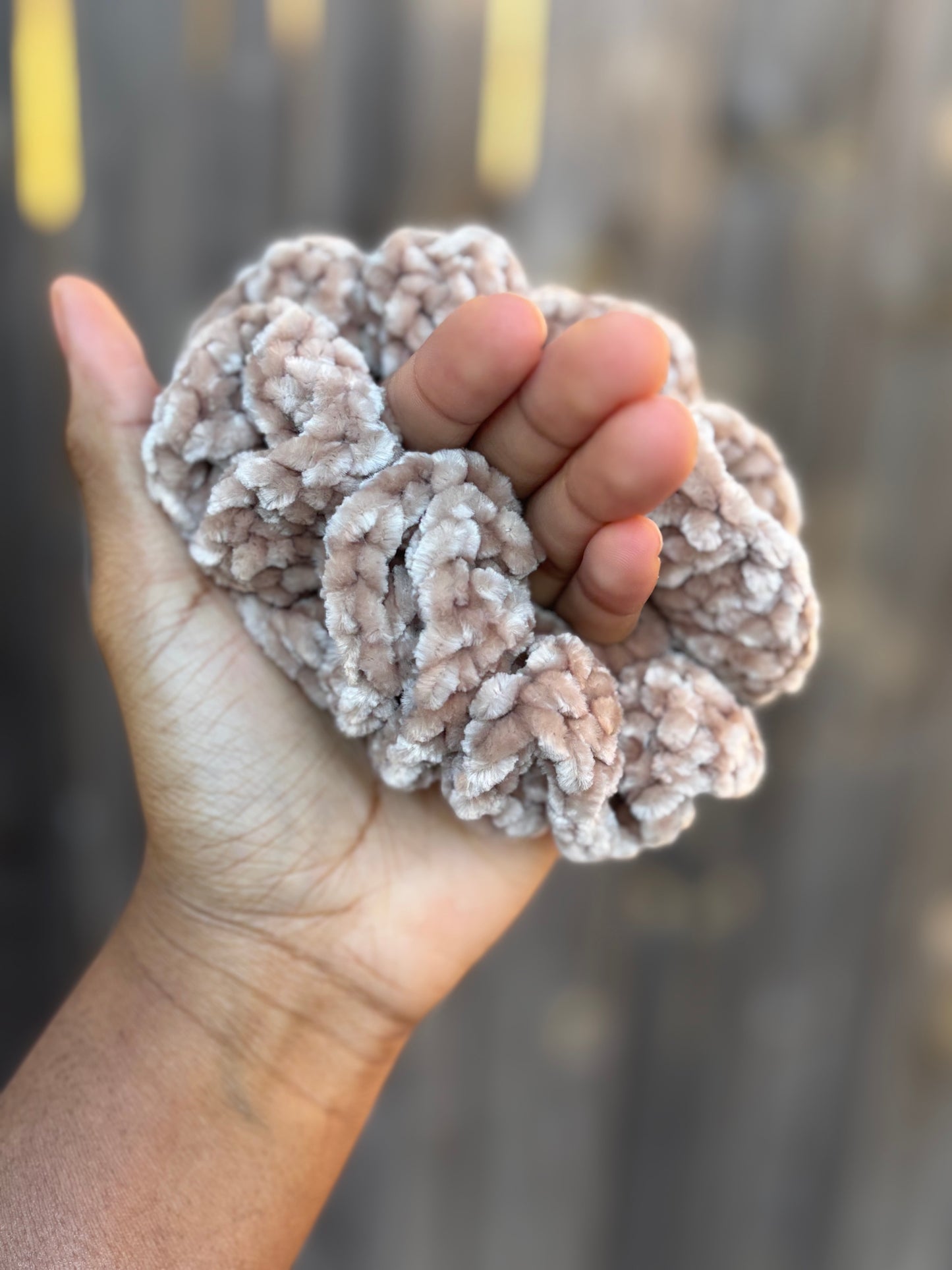 Scrunchy