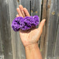 Scrunchy
