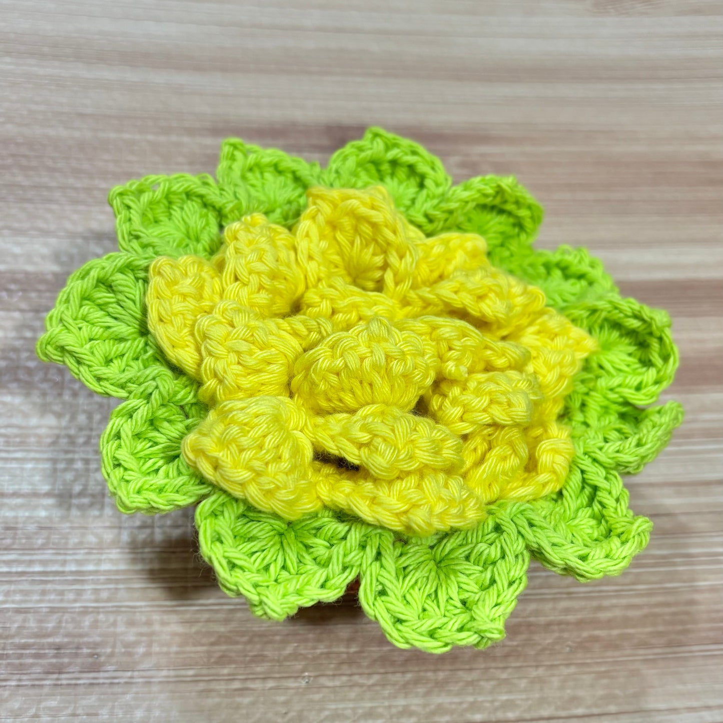 Plant Coaster Set