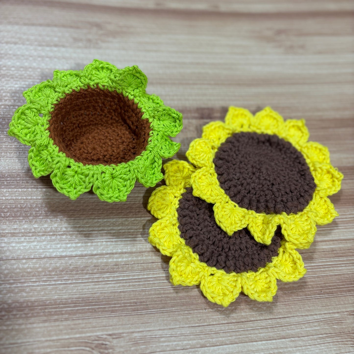 Plant Coaster Set